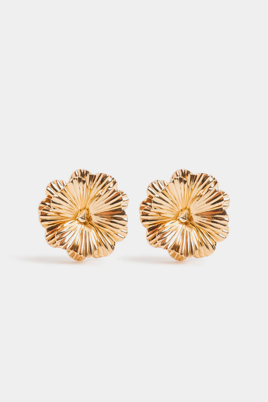 EARRINGS (E2884/110/131)